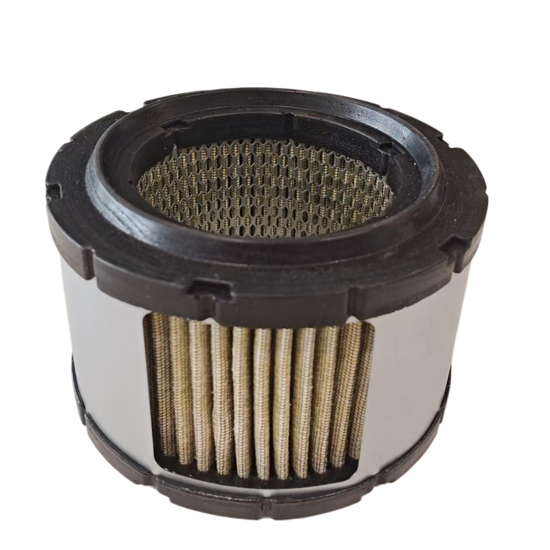 Cummins Air Filter Element 3971070 4