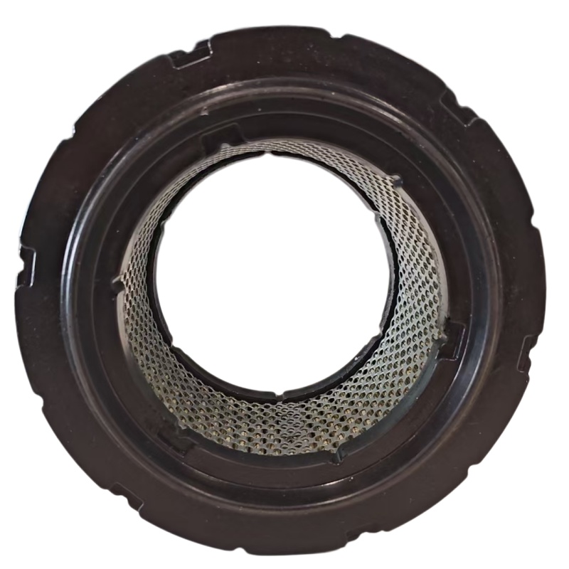 Cummins Air Filter Element 3971070 5