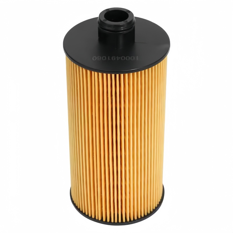 WEICHAI Oil Filter Element 1000491060 3