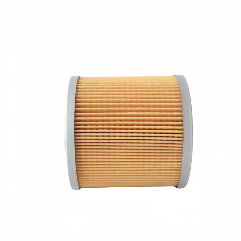 Fleetguard Elemento de filtro de combustible Eco FF5363 FF5721 3