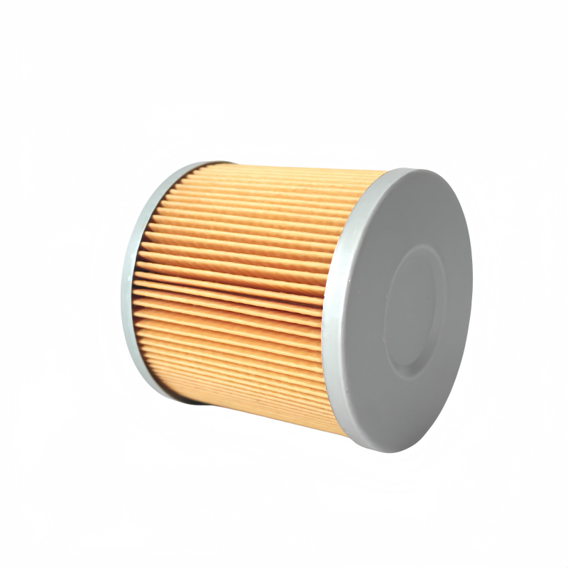 Fleetguard Elemento de filtro de combustible Eco FF5363 FF5721 5