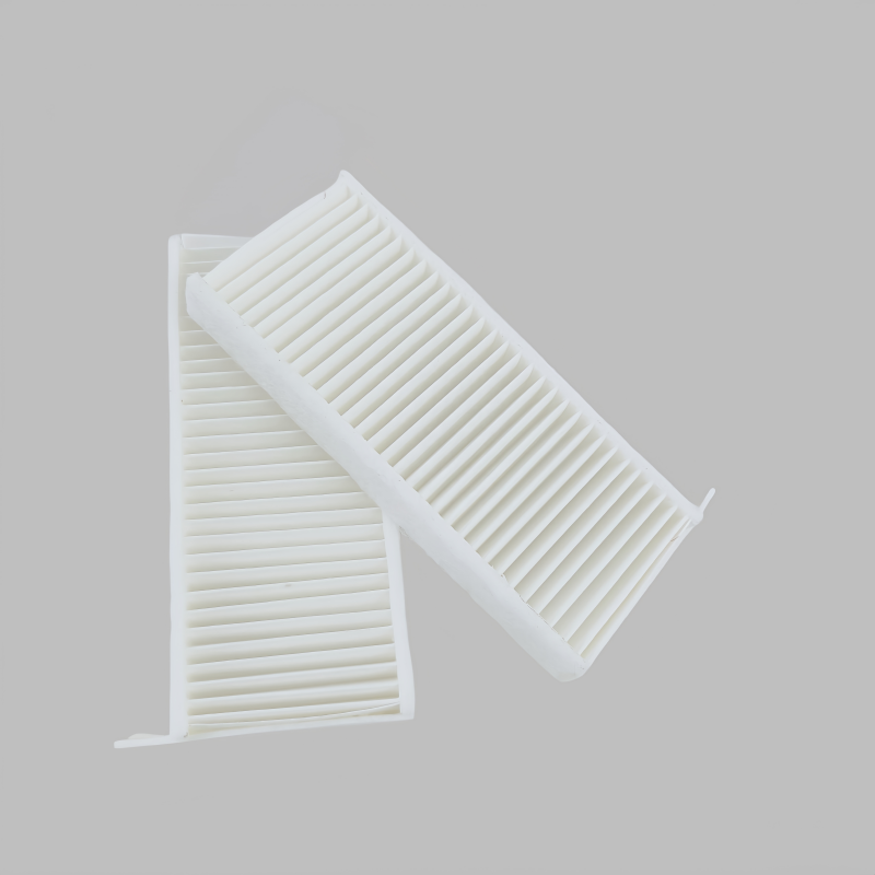 DAF Cabin Air Filter Element 2181325 2181324 2422035 2130633 4