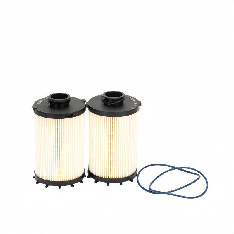 Sinotruk Eco Fuel Filter Elment LG9704550192
