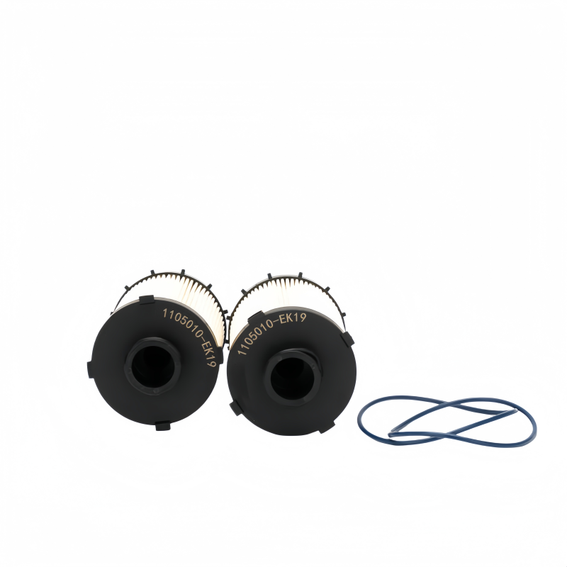 Sinotruk Eco Fuel Filter Elment LG9704550192 4