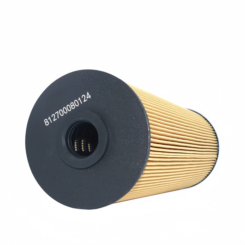 WEICHAI Eco Fuel Filter Insert 812700080124 160604020053A 5