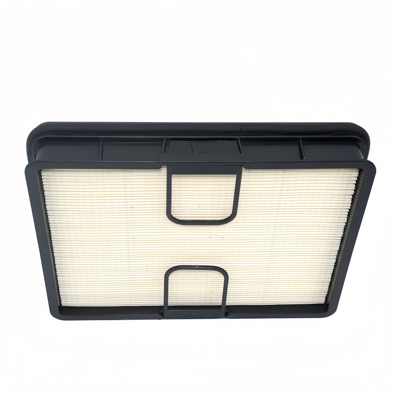 Fleetguard Filtro de aire AF55020 5
