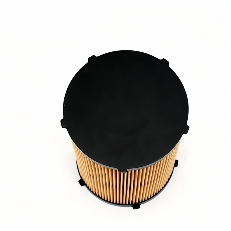 Dongfeng Eco Fuel Filter Element 1012010E4600 4
