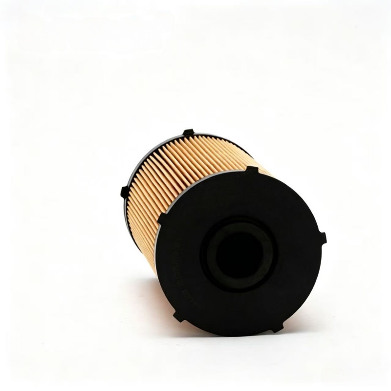 Dongfeng Eco Fuel Filter Element 1012010E4600 5