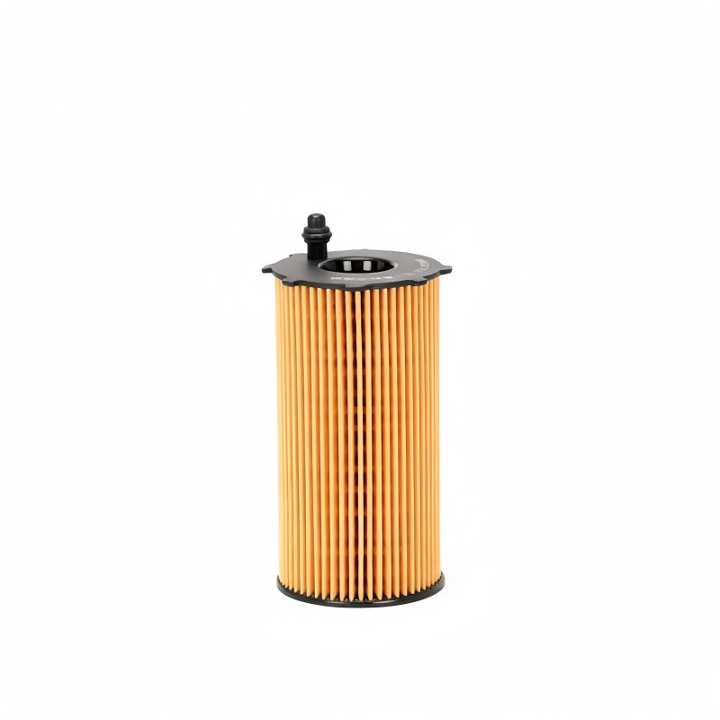 WEICHAI Eco Oil Filter Insert 1001367650 30577009