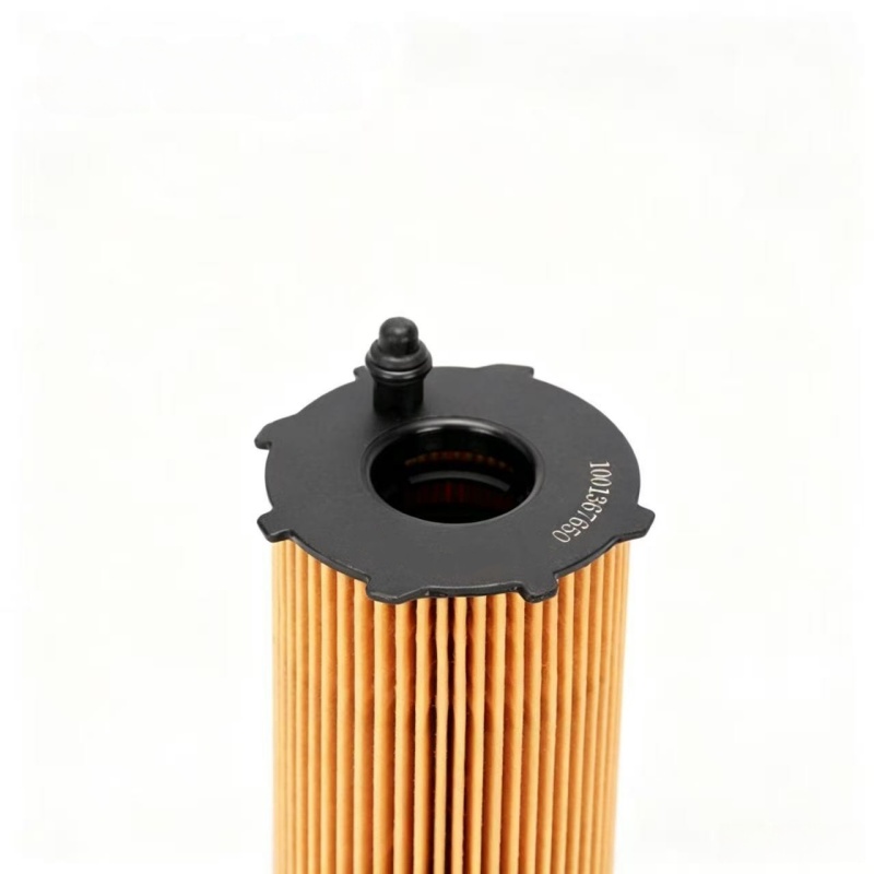 WEICHAI Eco Oil Filter Insert 1001367650 30577009 5