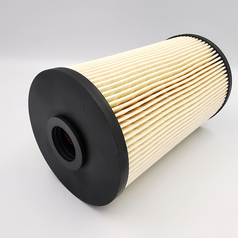 WEIDHAI Eco Fuel Filter Cartridge 611600080113 1001362240 611600080198 5
