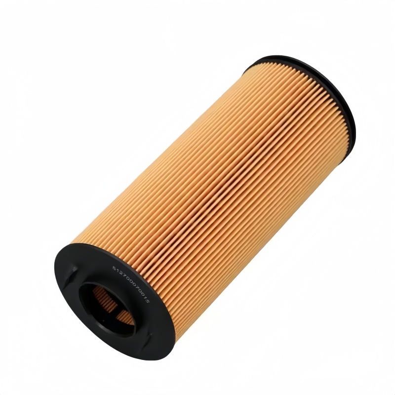 WEICHI Eco Oil Filter Cartidge 812700070015 1006828815 2