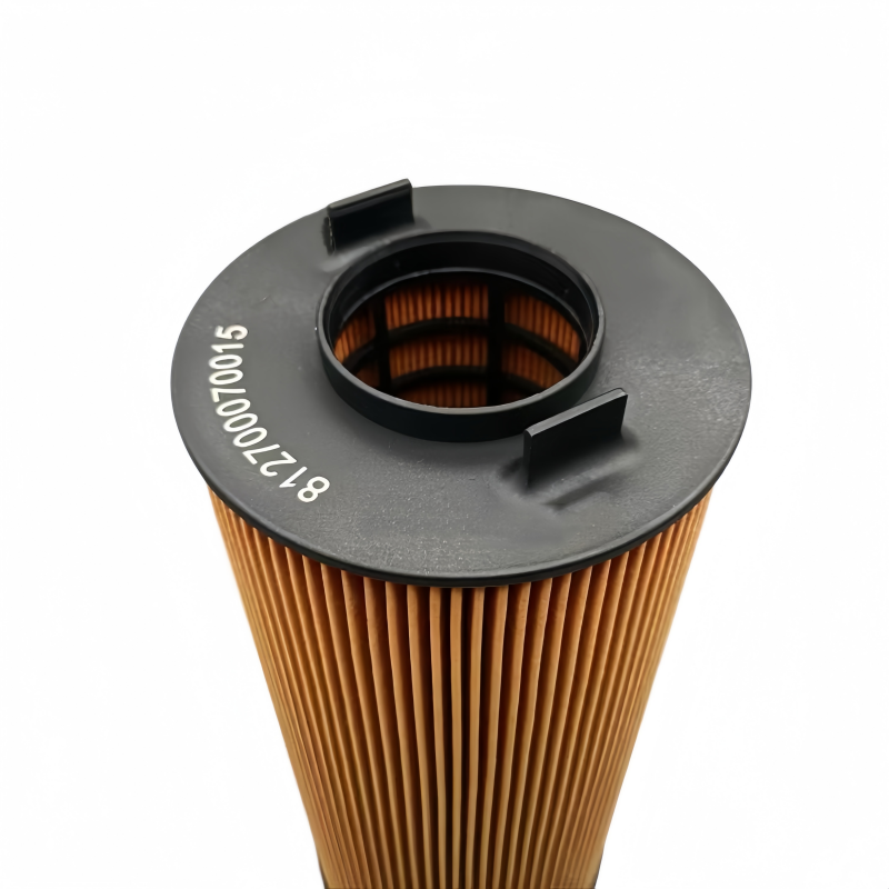 WEICHI Eco Oil Filter Cartidge 812700070015 1006828815 4