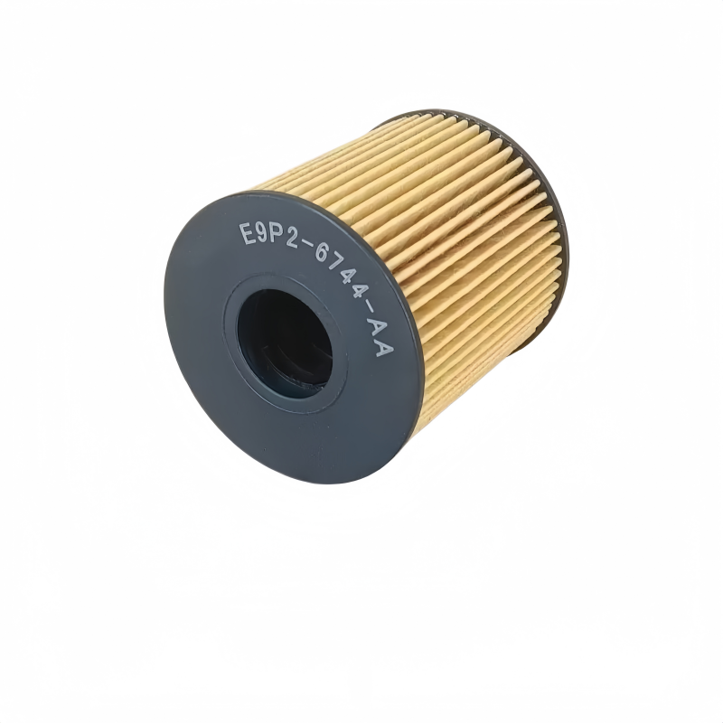 FORD Eco Oil Filter Cartiridge E9P26744AA 4