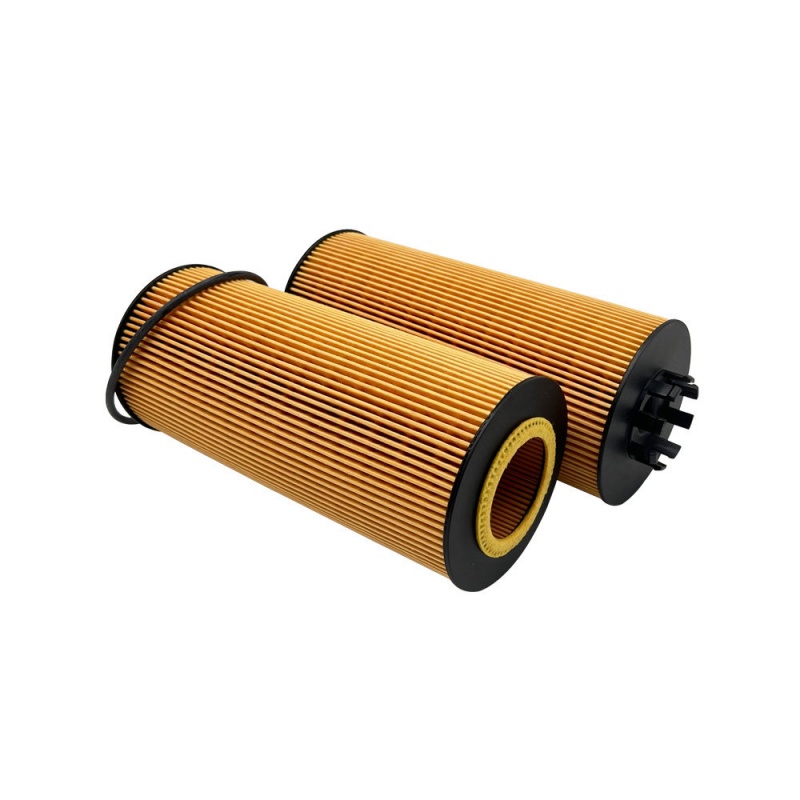 MANN Eco Oil Filter Insert HU9003z 2