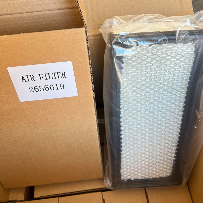 Precise Air Filter - Cabin 2656619