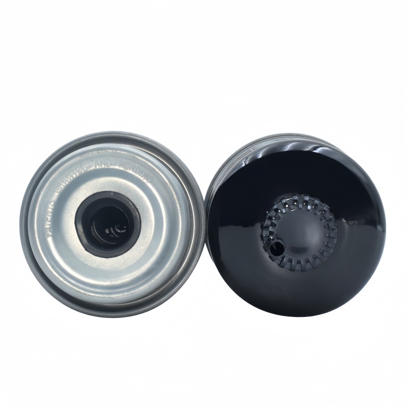 Aftermarket Replacement for Hifi SN70162 FUEL FILTER 2
